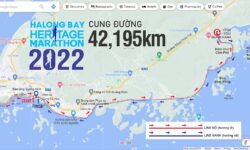 Halong International Marathon 2023