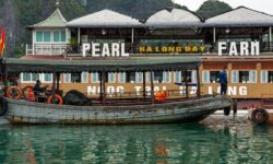 Pearl Farm Exhibition Center and Museum