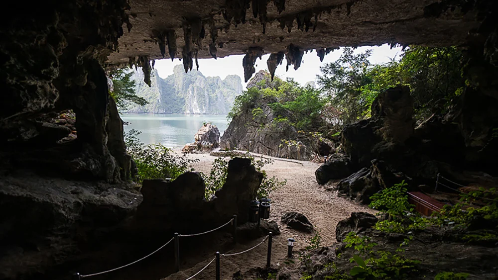 Read more about the article Trinh Nu Cave