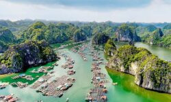 Tra Bau Floating Village